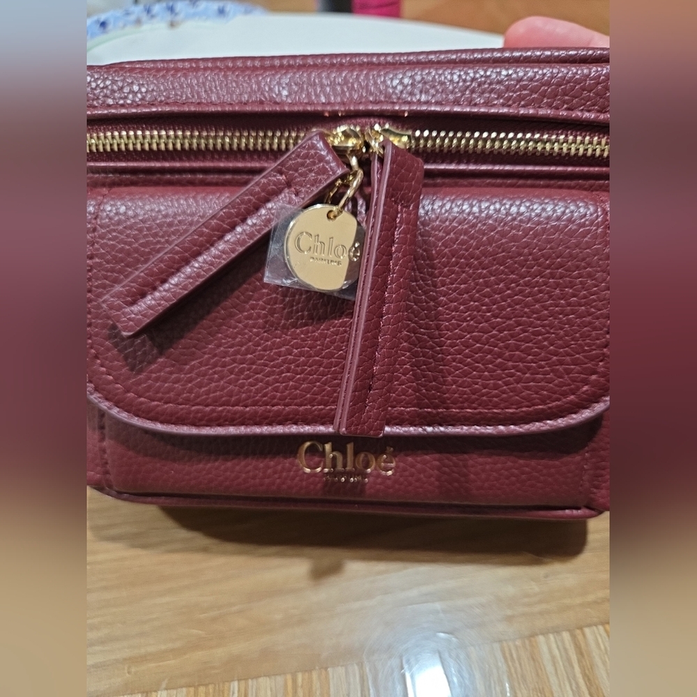 CHLOE Burgundy / Wine Red Mini Clutch Bag / Make Up Pochette
